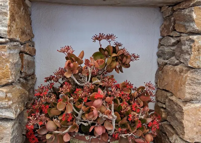 Madilida Sifnos Lejlighed *