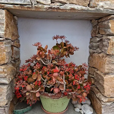 Madilida Sifnos Apartament *